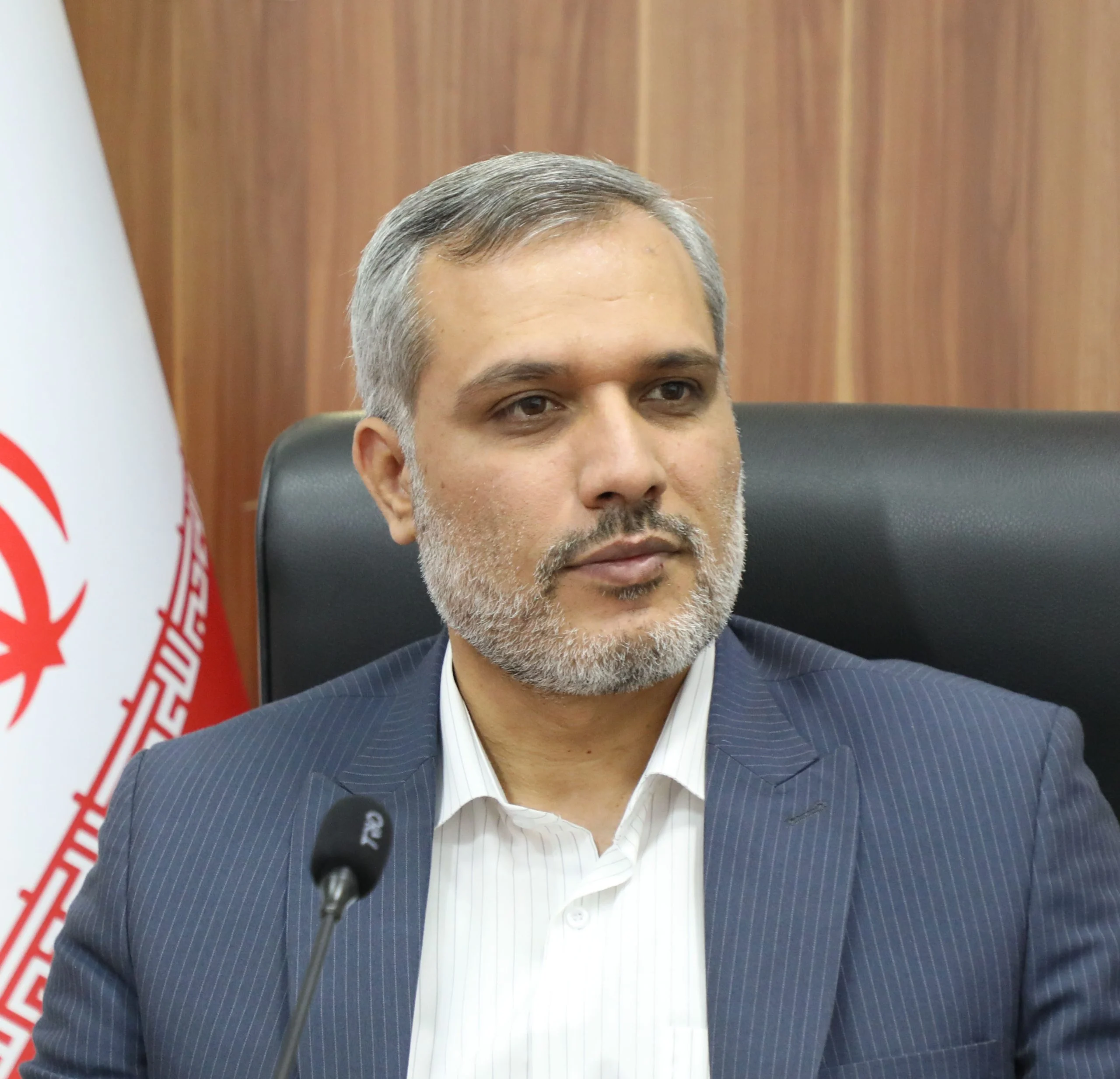 مهدی لطفی